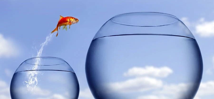 Халамжийн төрөөс хөгжлийн төр рүү шилжих эдийн засгийн реформууд