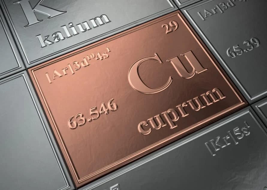 Зэс: Том тоглогчийн төлөөх өрсөлдөөн ба МОНГОЛ!