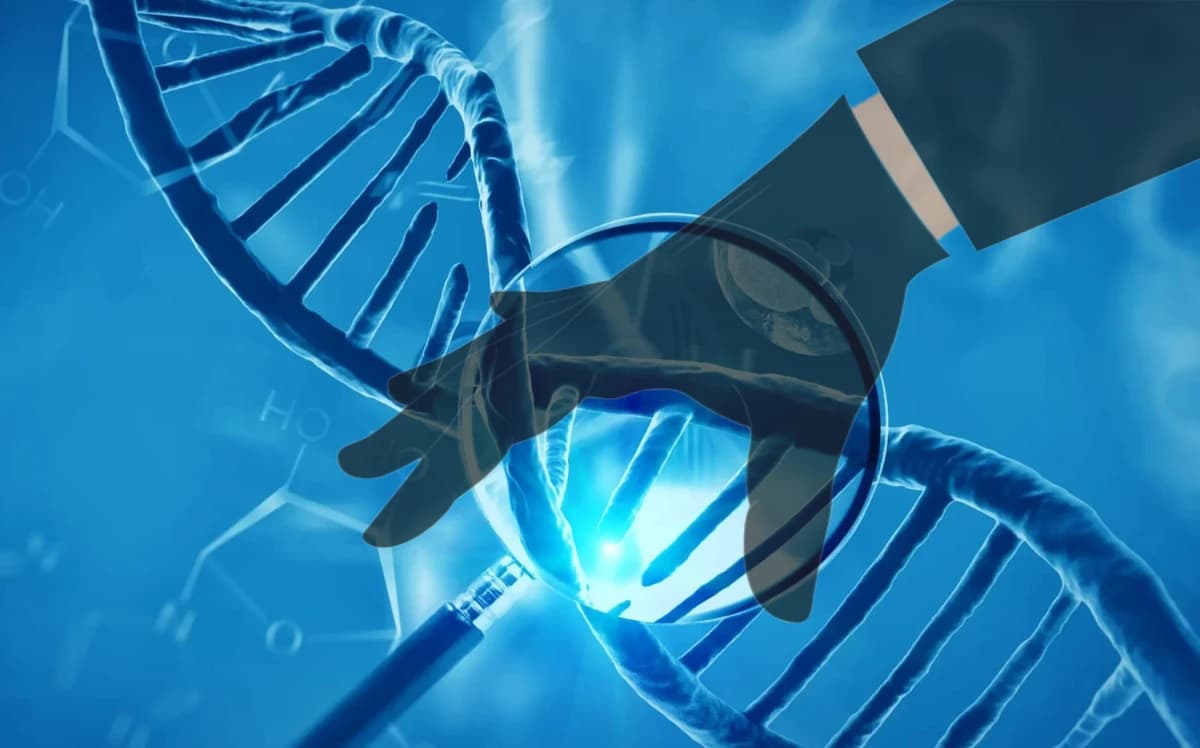 Хулгайчийн хүүхэд хулгайч болох уу: Гэр бүлийн нөлөө генээс дутахгүй чухал