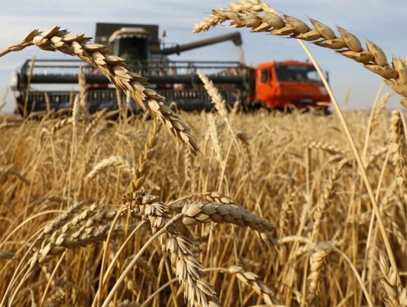 Бодлогын алдаа: “Атрын аян”-ыг баллуурдсан импортын татвар