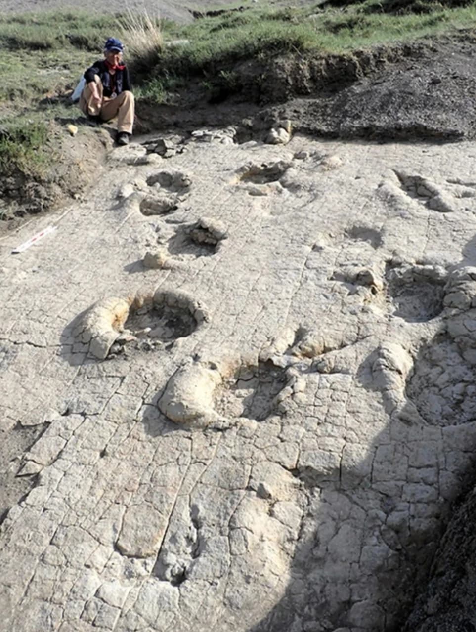 Dinosaur prints push theropod existence further back in Mongolia