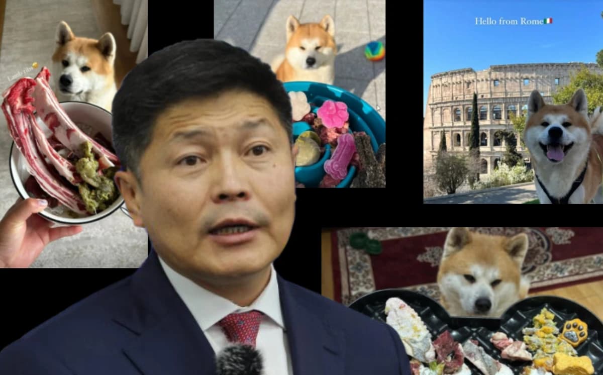 Нийслэлчүүд хотын даргын нохойноос дор амьдарч байна