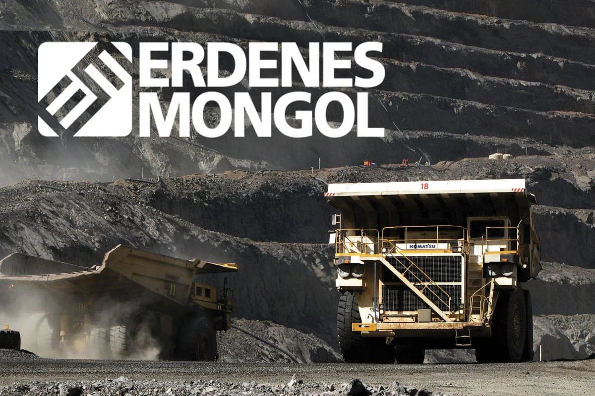 D.纳冉图雅："Erdenes Mongol"集团将对旗下10家公司进行合并或解散