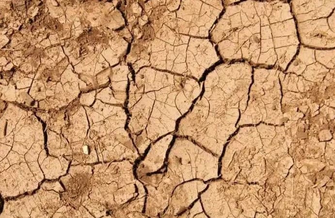 Desertification: World leaders gather in Mongolia to restore land and build drought resilience