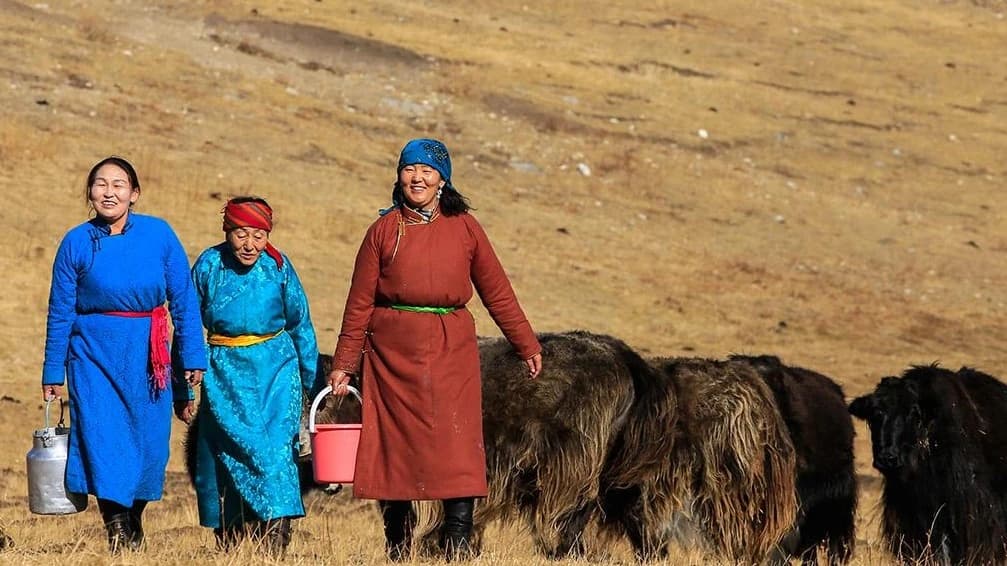 ADB launches Fund to scale resilient agribusiness and sustainable rangeland management in Mongolia